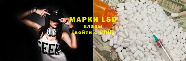 PSILOCYBIN Верея
