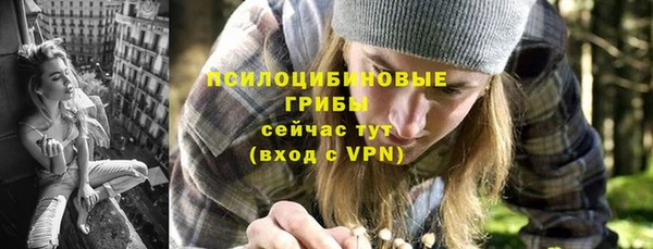 прущие крисы Верхний Тагил