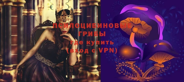 PSILOCYBIN Верея
