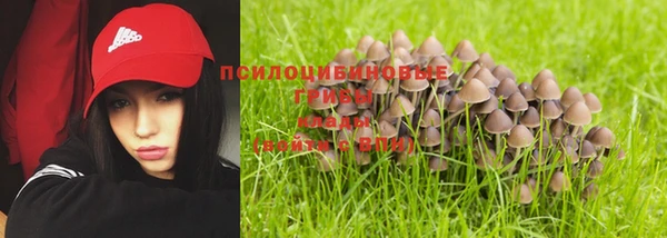 PSILOCYBIN Верея