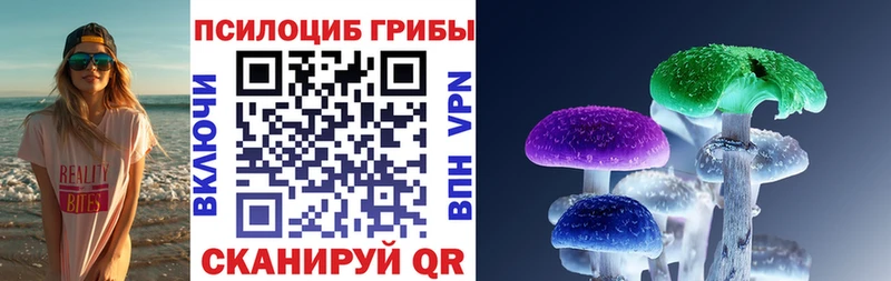 Галлюциногенные грибы Magic Shrooms  Купить где  Черемхово 